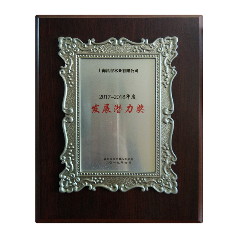 2017-2018年發(fā)展?jié)摿Κ?jiǎng)